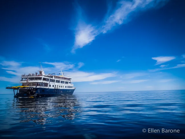 Safari Endeavour, Playa Ensenada Grande, Isla Partida, Sea of Cortés