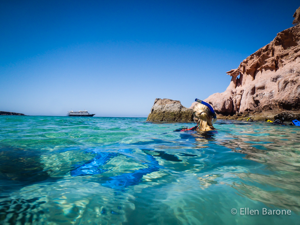 Snorkeling, Playa Ensenada Grande, Sea of Cortés.