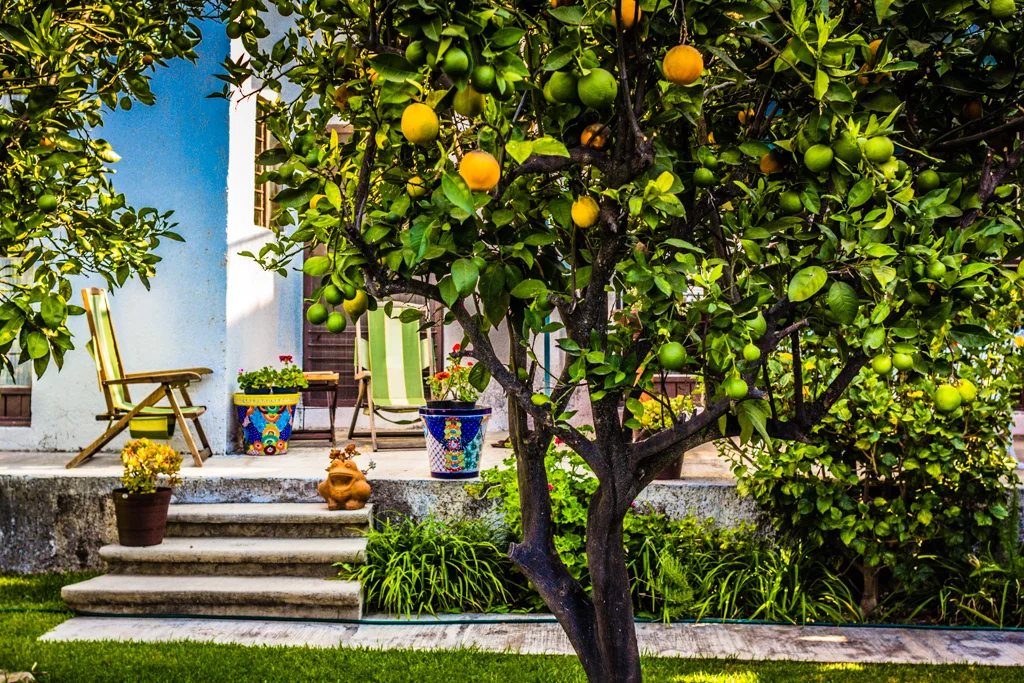 How to Live and Work Abroad: An Unconventional Approach