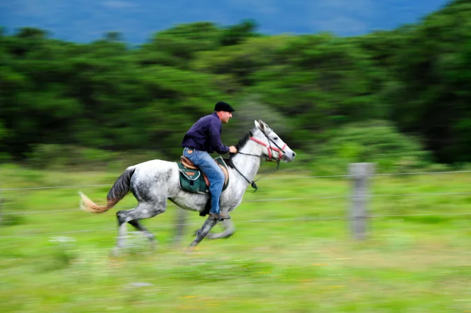 HORSE SENSE: Learning To Trust On A Mexico Equestrian Adventure