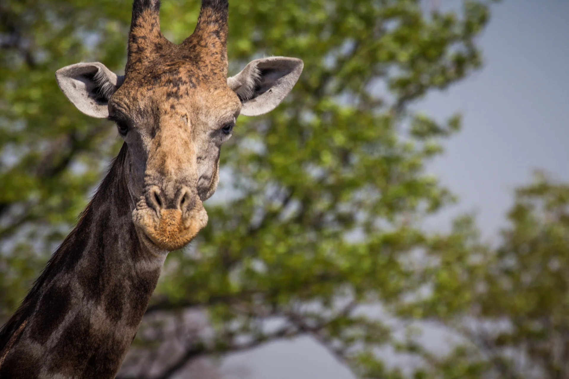 GO NOW: 5 Unforgettable Namibia Adventures
