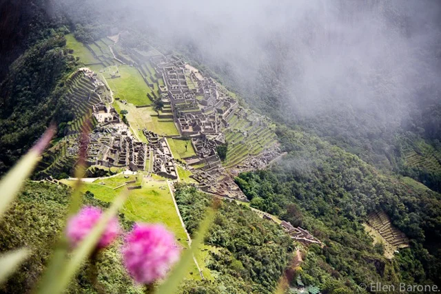 An Argument for Silence