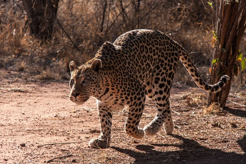 What Our Travel Stories Teach Us About Ourselves