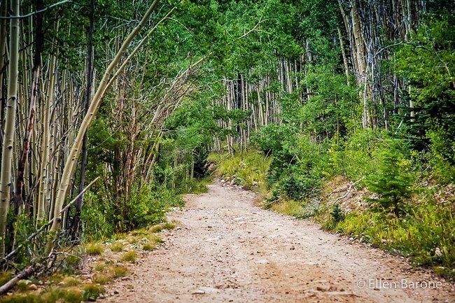 "I Need": Shattering the Illusion