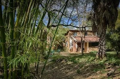 Five months in rural Oaxaca.

Morning showers behind bamboo screens&mdash;turquoise tiles, cool water falling. The ding of bicycles on dirt roads, donkeys braying in the distance.

Evening crickets. The scent of carrizo grasses along the canal.

I st