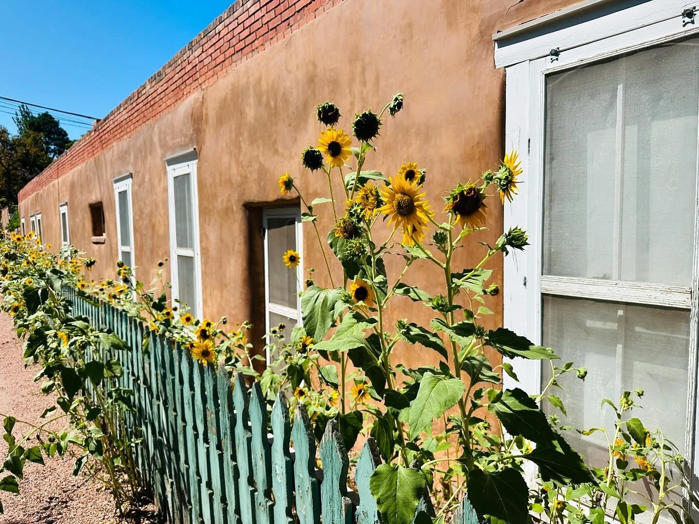 Santa Fe summers are all about fiery sunsets, vibrant art, and endless blue skies. Pure New Mexico magic in every moment. 
#santafesummer
#citydifferent
#highdesertbeauty
#newmexicotrue
#slowtravel
#wanderslowly
#traveldeeper
#exploreatyourpace
#savo