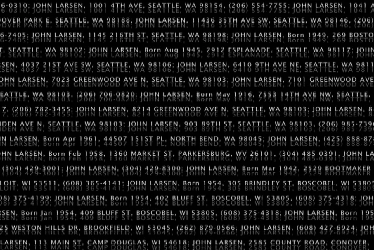   John Larsen , 2008, Video Screen Shot, dimensions variable 