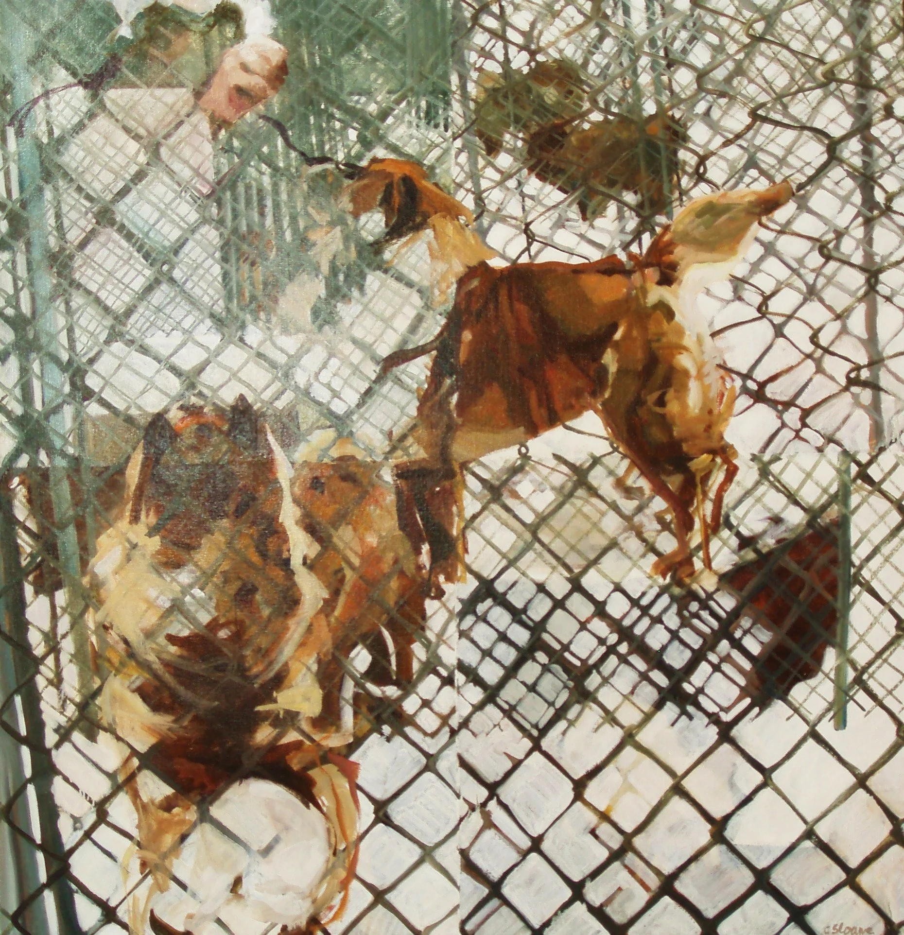 TULIP, SMART COOKIE, COATISHE AND ZOLA