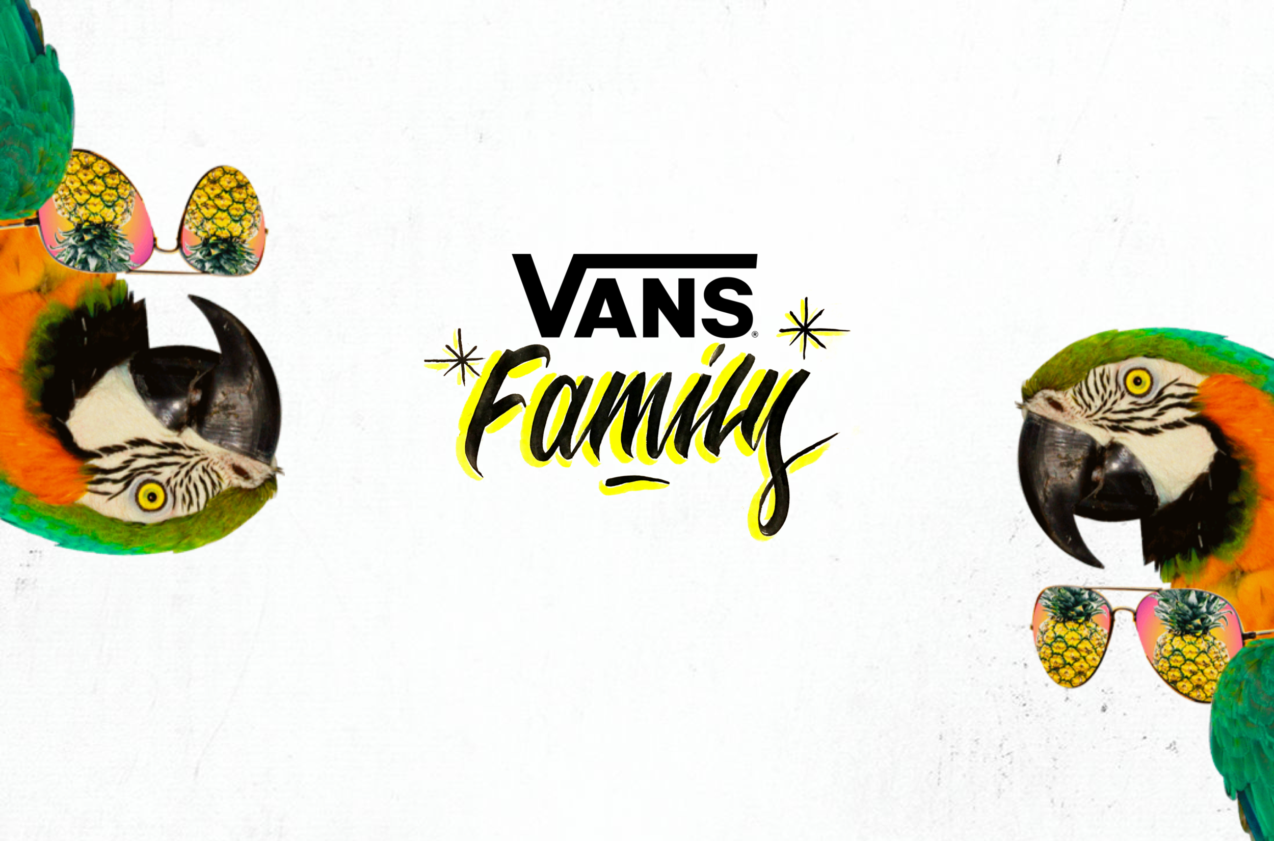 vans family