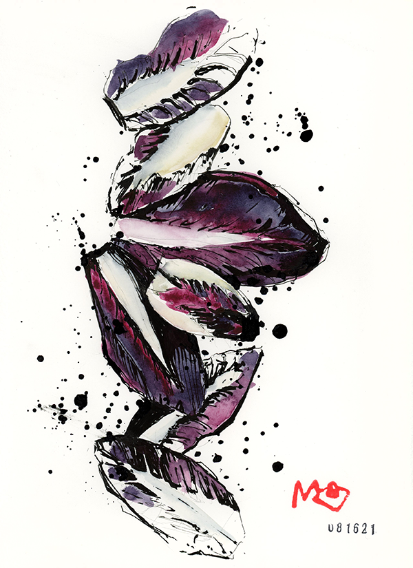 meggrecoart_endive.png