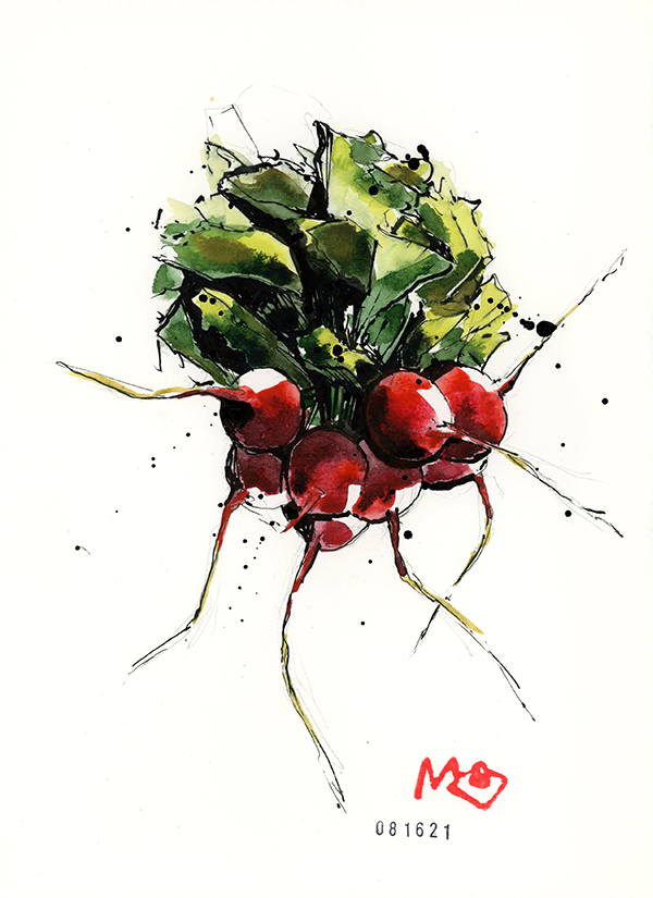 meggrecoart_Radish.png