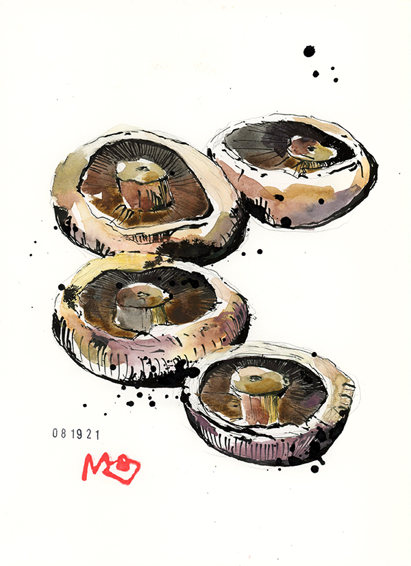 meggrecoart_mushrooms.png