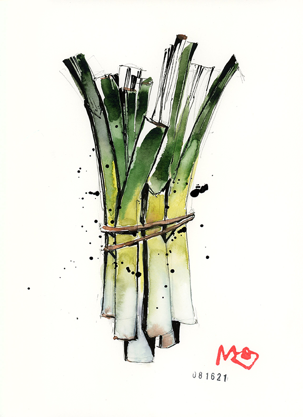 meggrecoart_leeks.png
