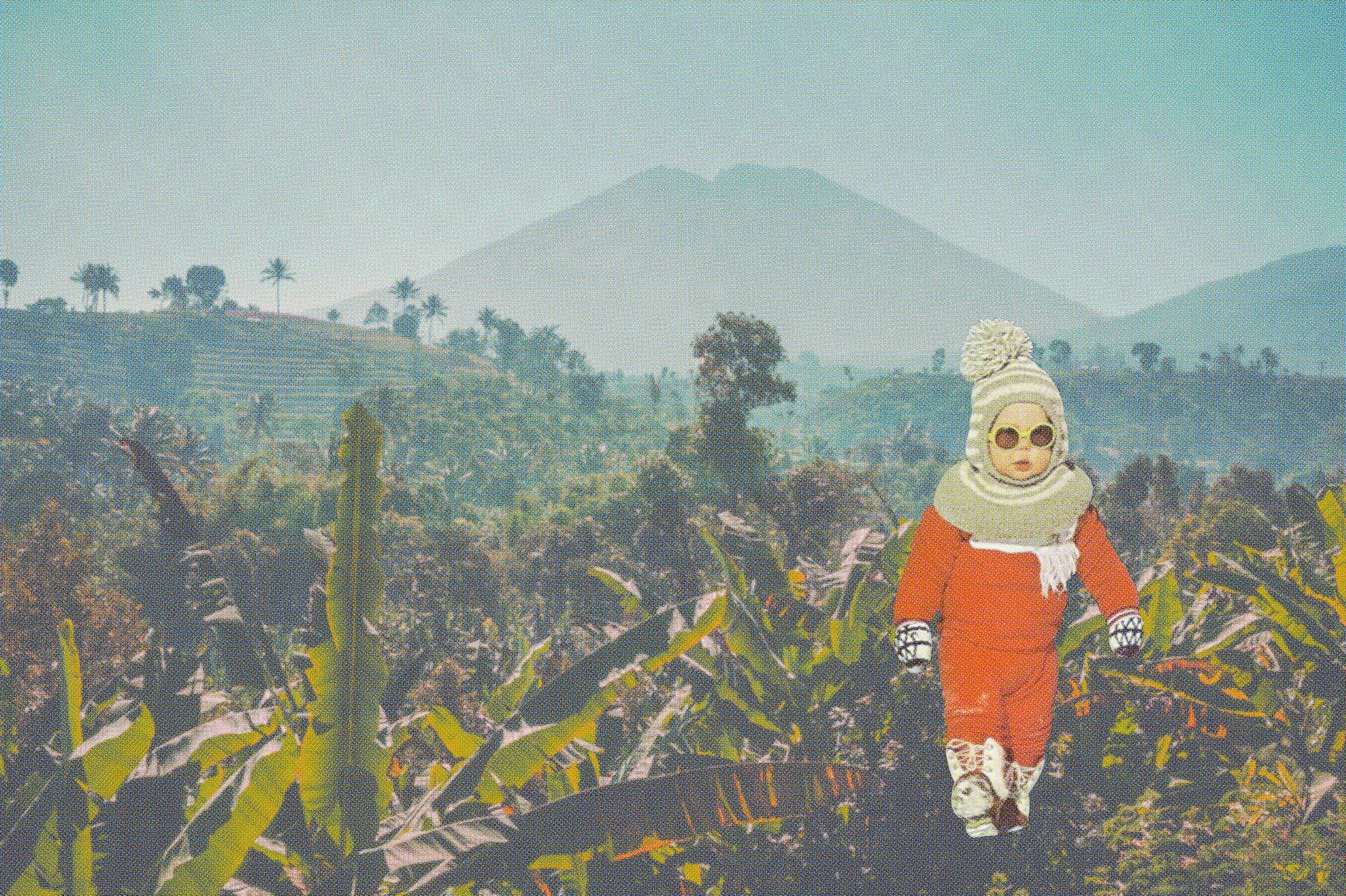 Welcome to The Jungle