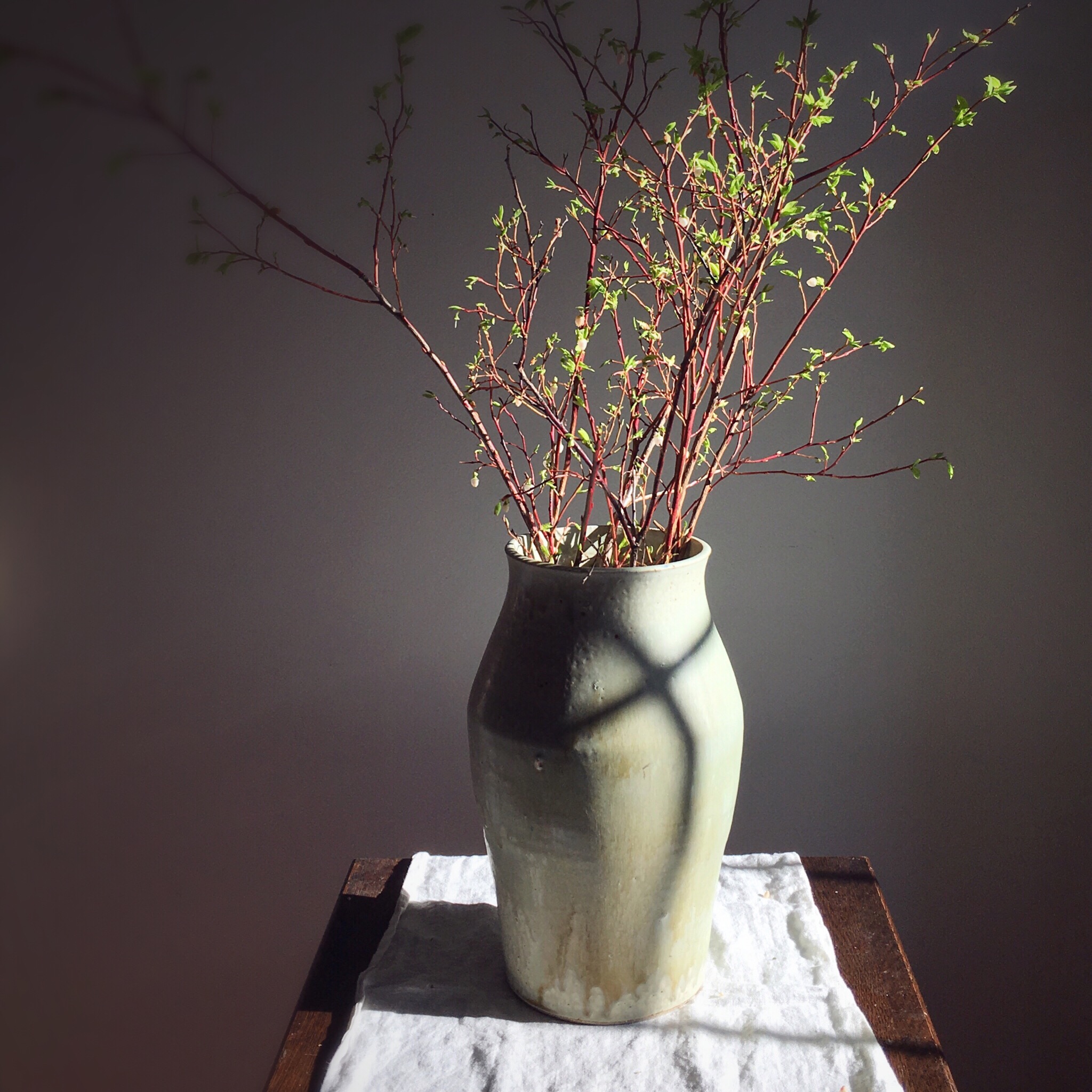 Easter Shadow on ceramic vase. ️