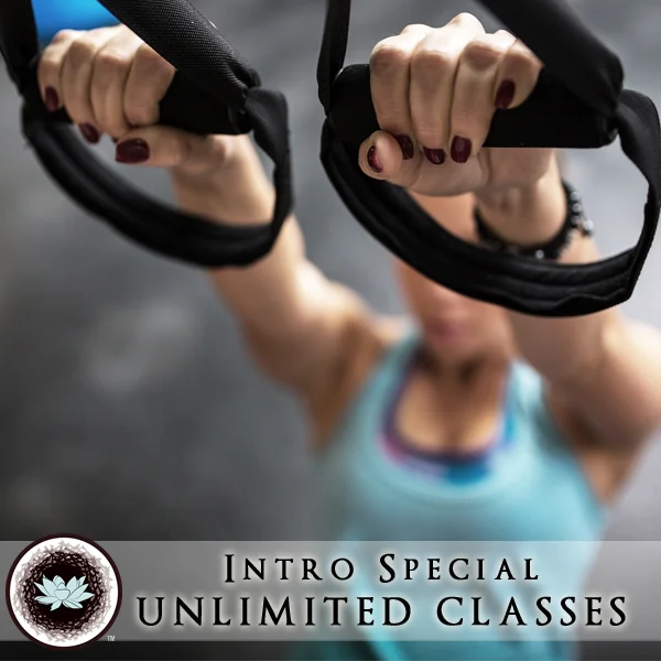 New to WellNest? Check out our limited time Introductory offer!