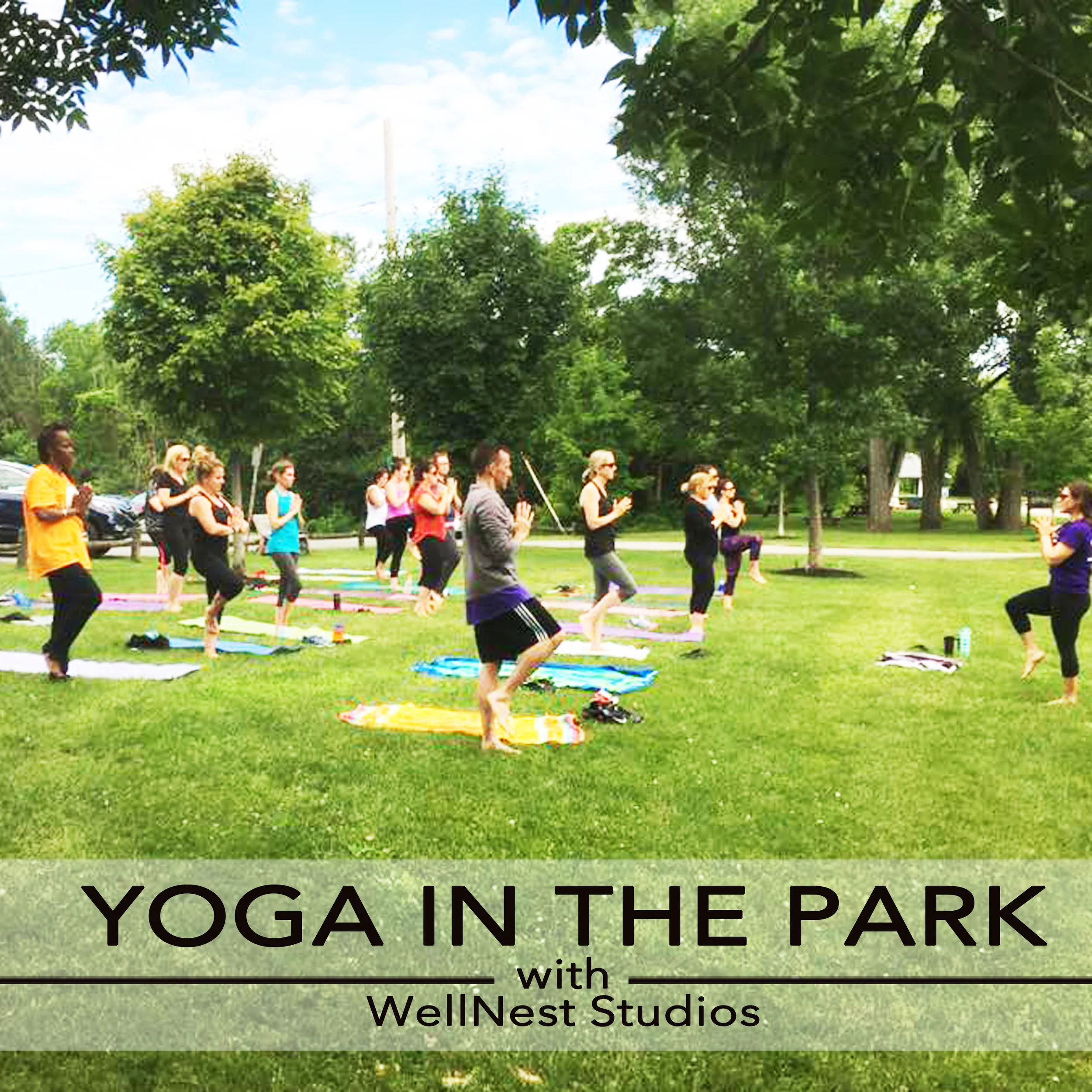 Yoga in the Park
