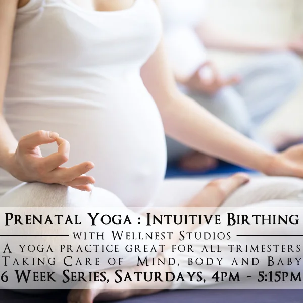 Prenatal Yoga -  The Winter Series