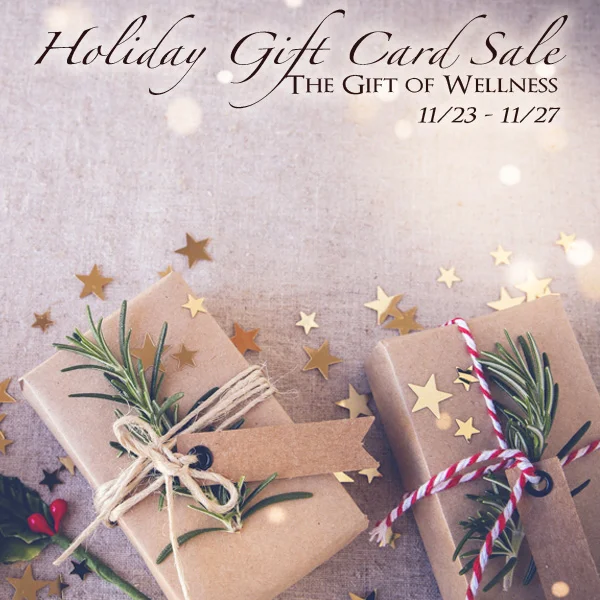 BLACK FRIDAY HOLIDAY SALE