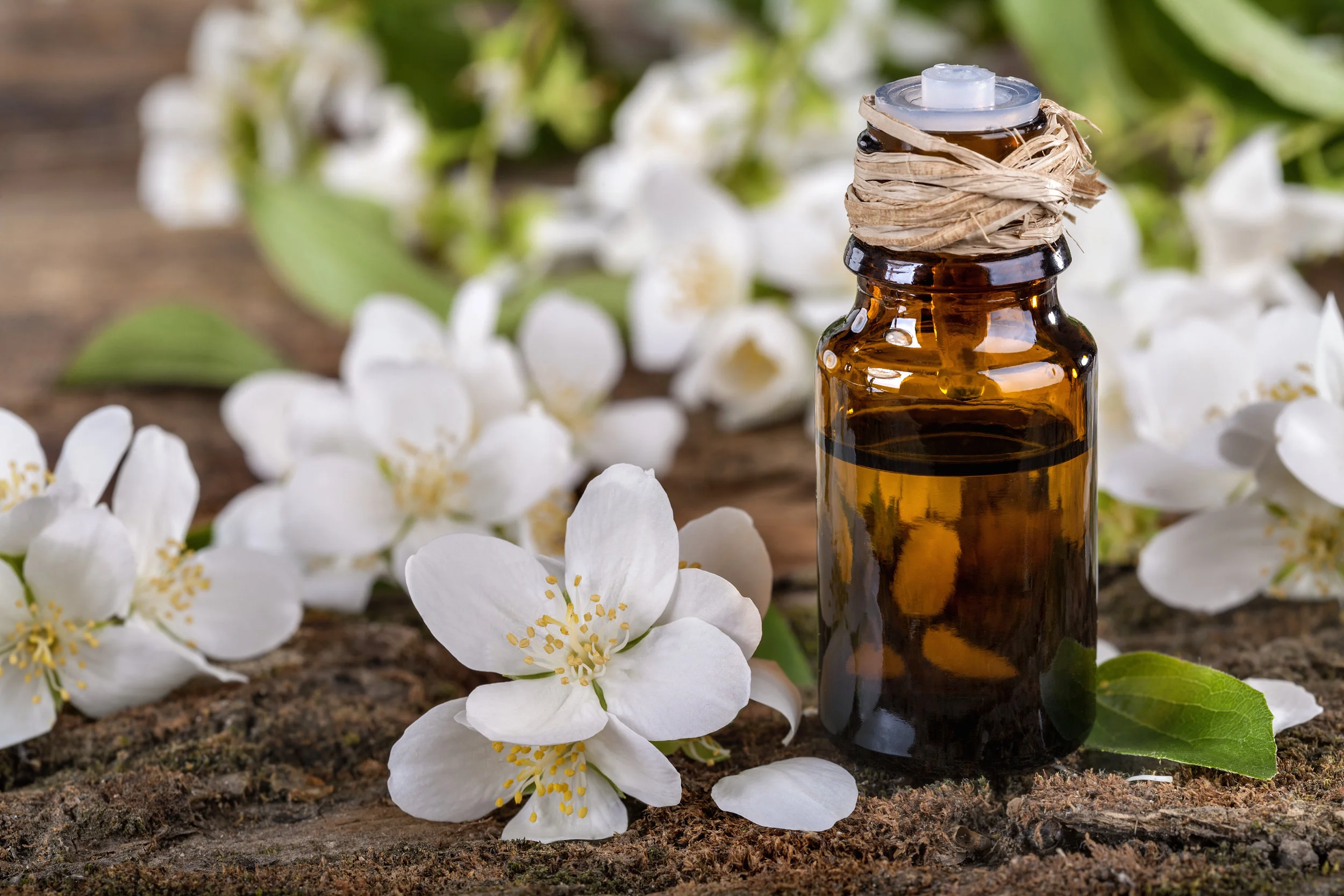 Essential Oils - Latham, NY - WellNest Studios