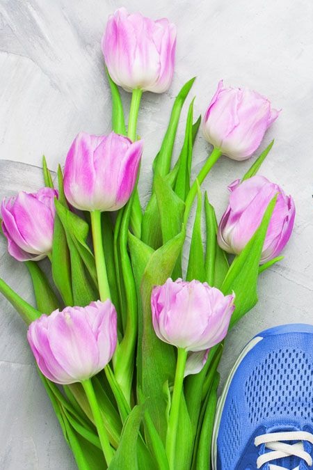 Open House - Spring Reboot!