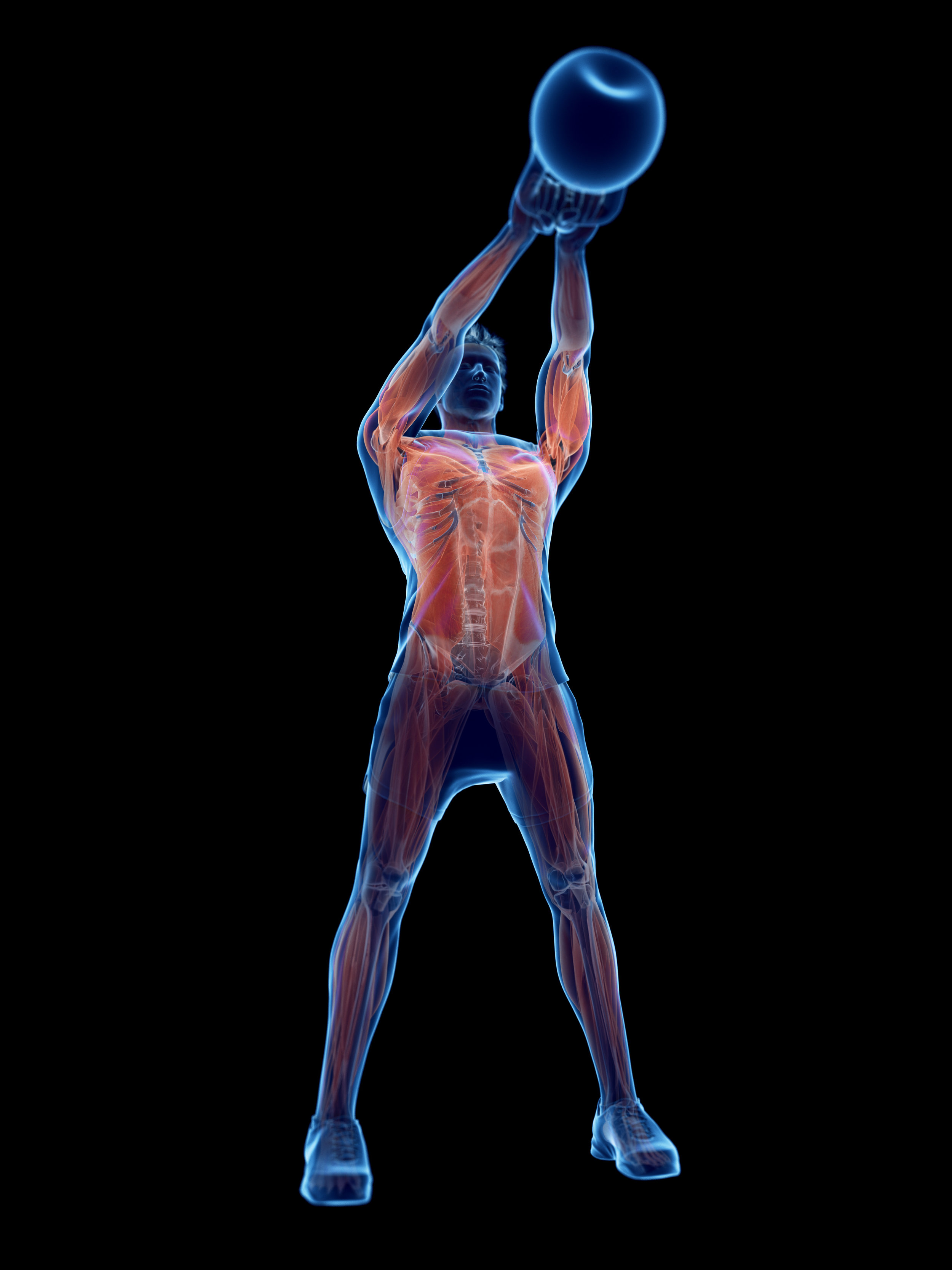 Beginners' Workshops