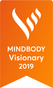 Visionary 2019 award.png