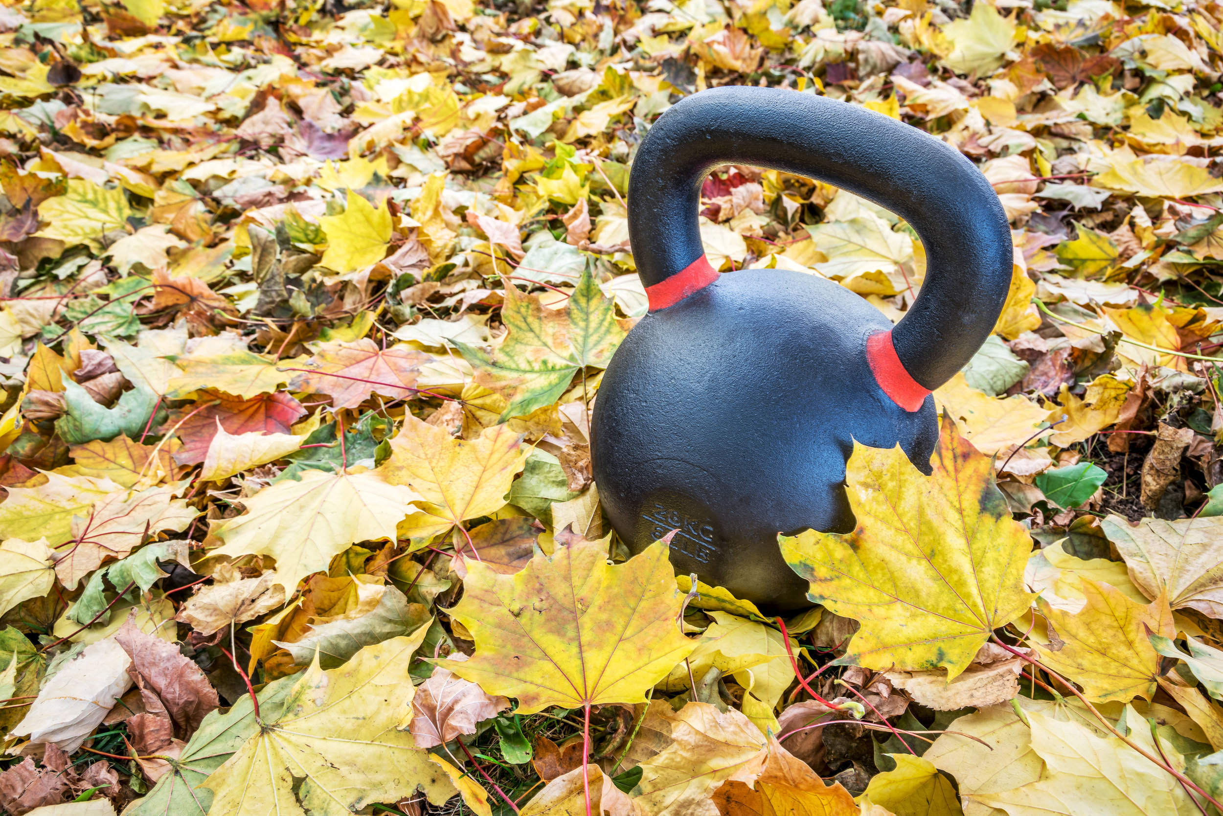 New Classes + Fall Schedule