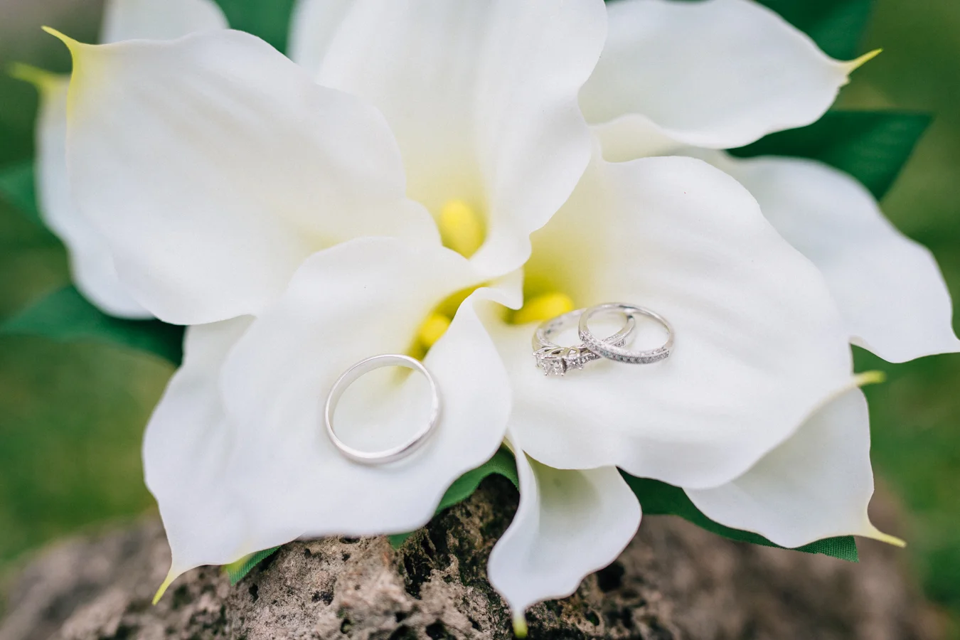 M+T-Wedding-blog-184.jpg