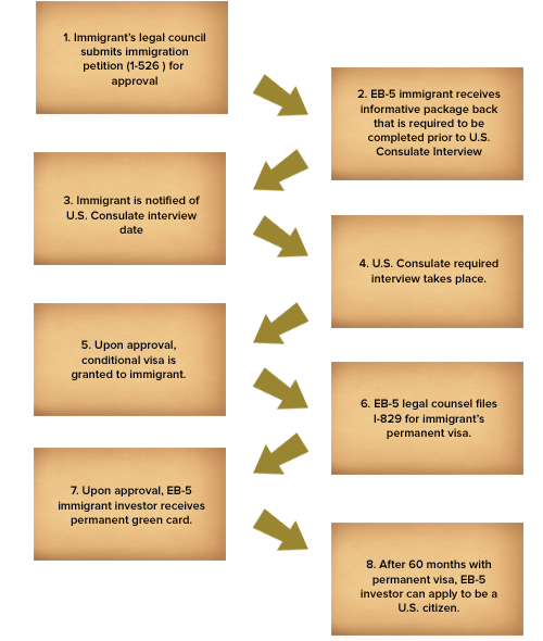 flowchart_immprocess.png