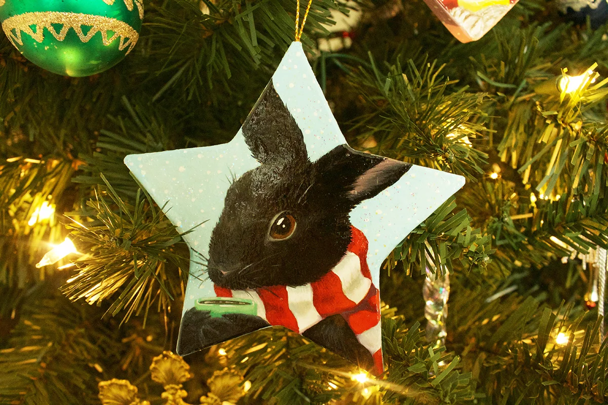 felix_ornament.jpg