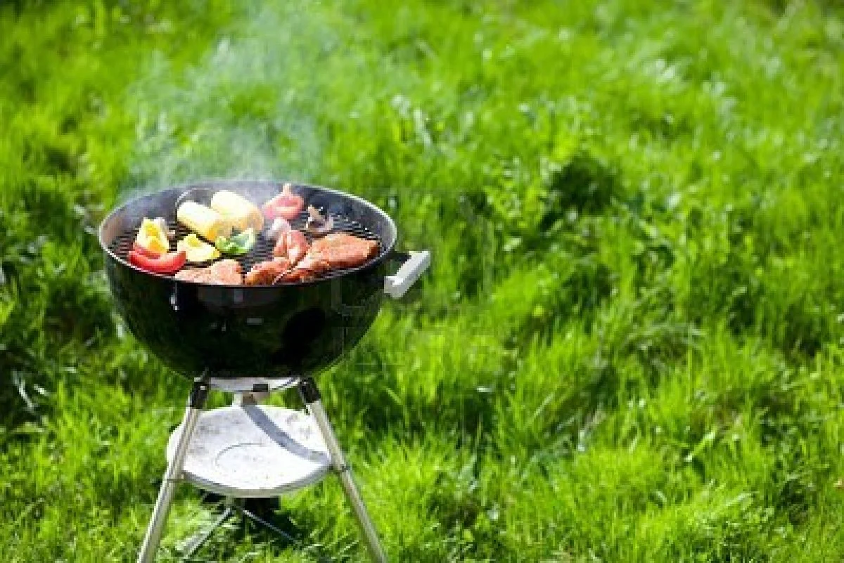 3055270-grilling-at-summer-weekend-fresh-meat-and-vegetables-preparing-on-grill-1
