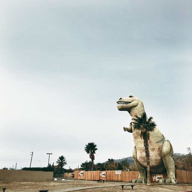  We stopped on the way to Palm Springs&nbsp;to snap this shot of a T. Rex. This shot is from Jennier Teo,&nbsp;our Senior Graphic Designer. 