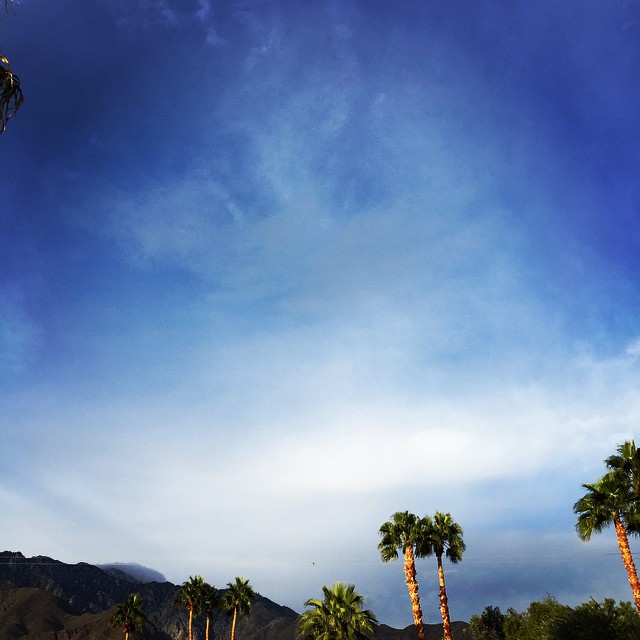  Beautiful morning in Palm Springs, taken by our marketing guru Heather McCallum,&nbsp;who snapped this during her morning training run. She's&nbsp;training for a marathon in March! 