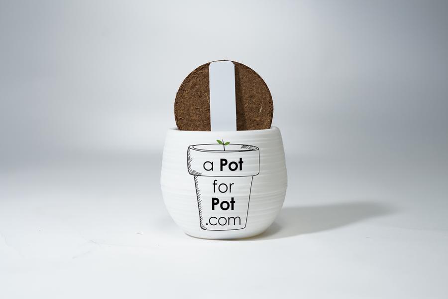 a Pot for Pot