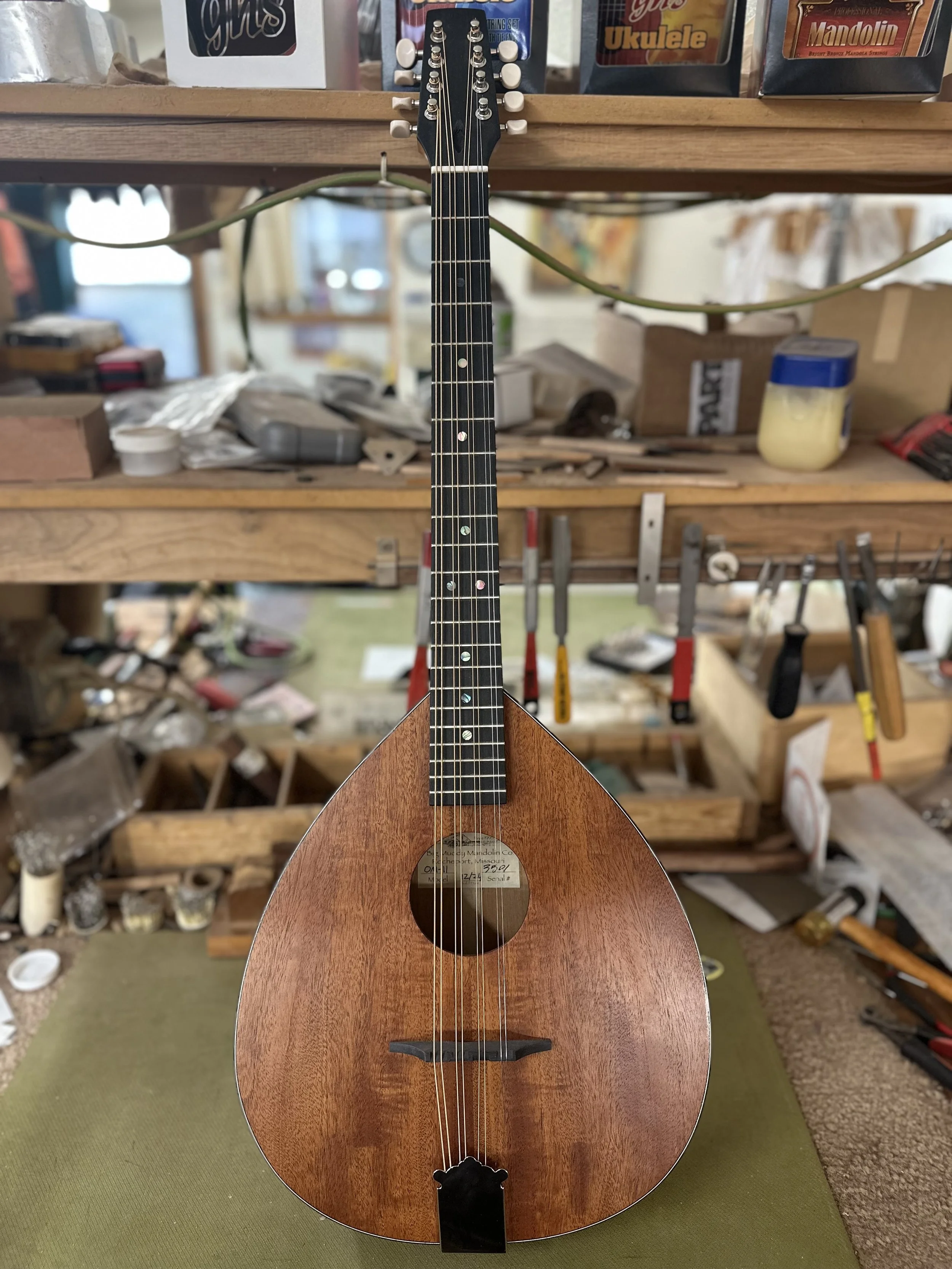 Octave Instrument Octave Mandolins — Big Muddy Mandolin