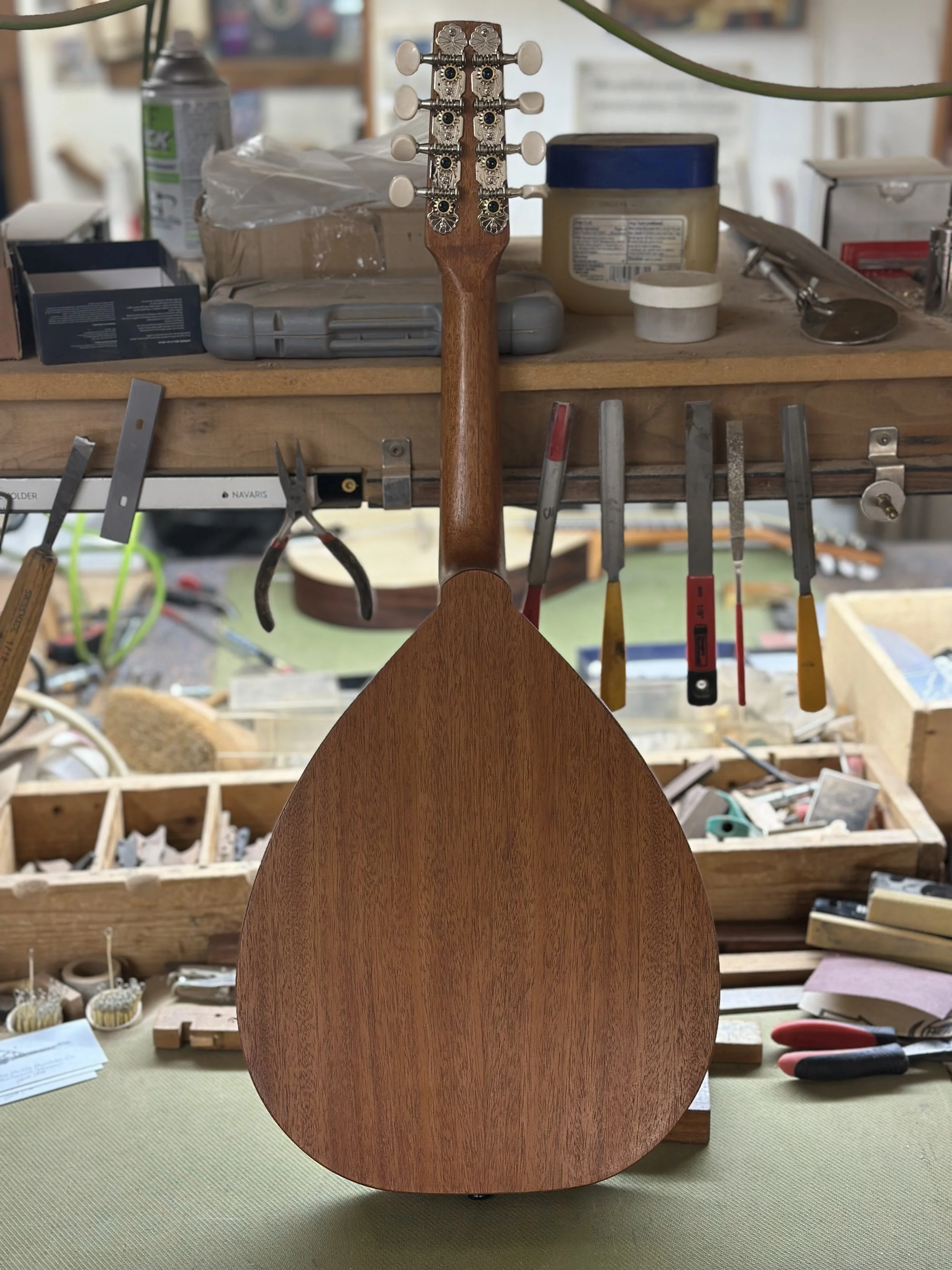 M-11JW Maple Fretboard