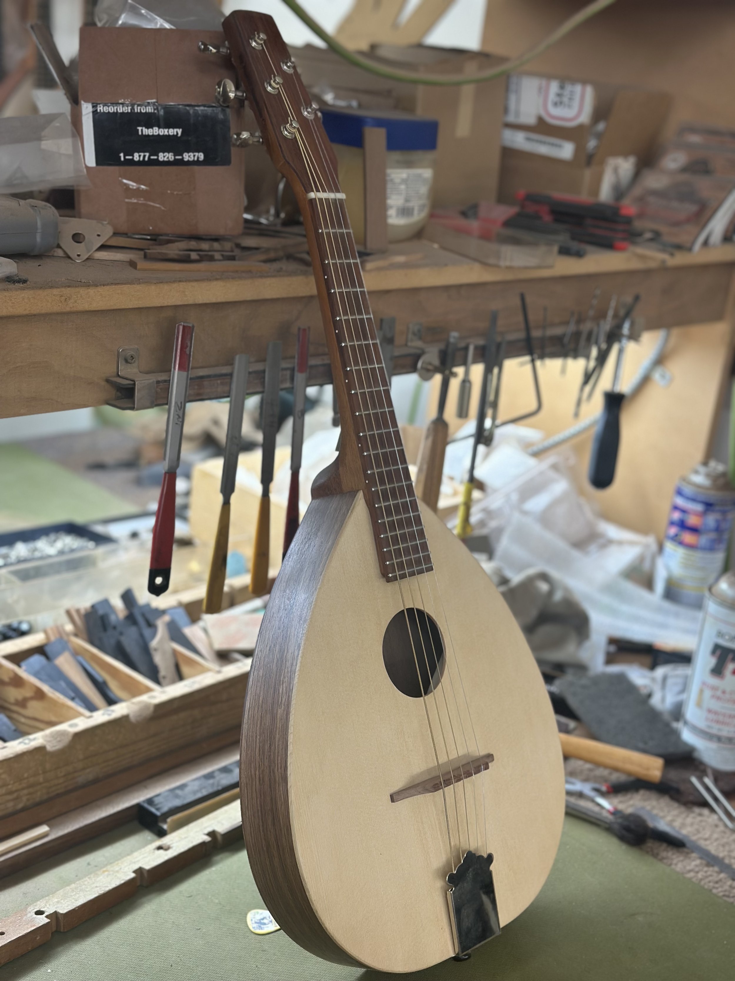 MW-14 5 String