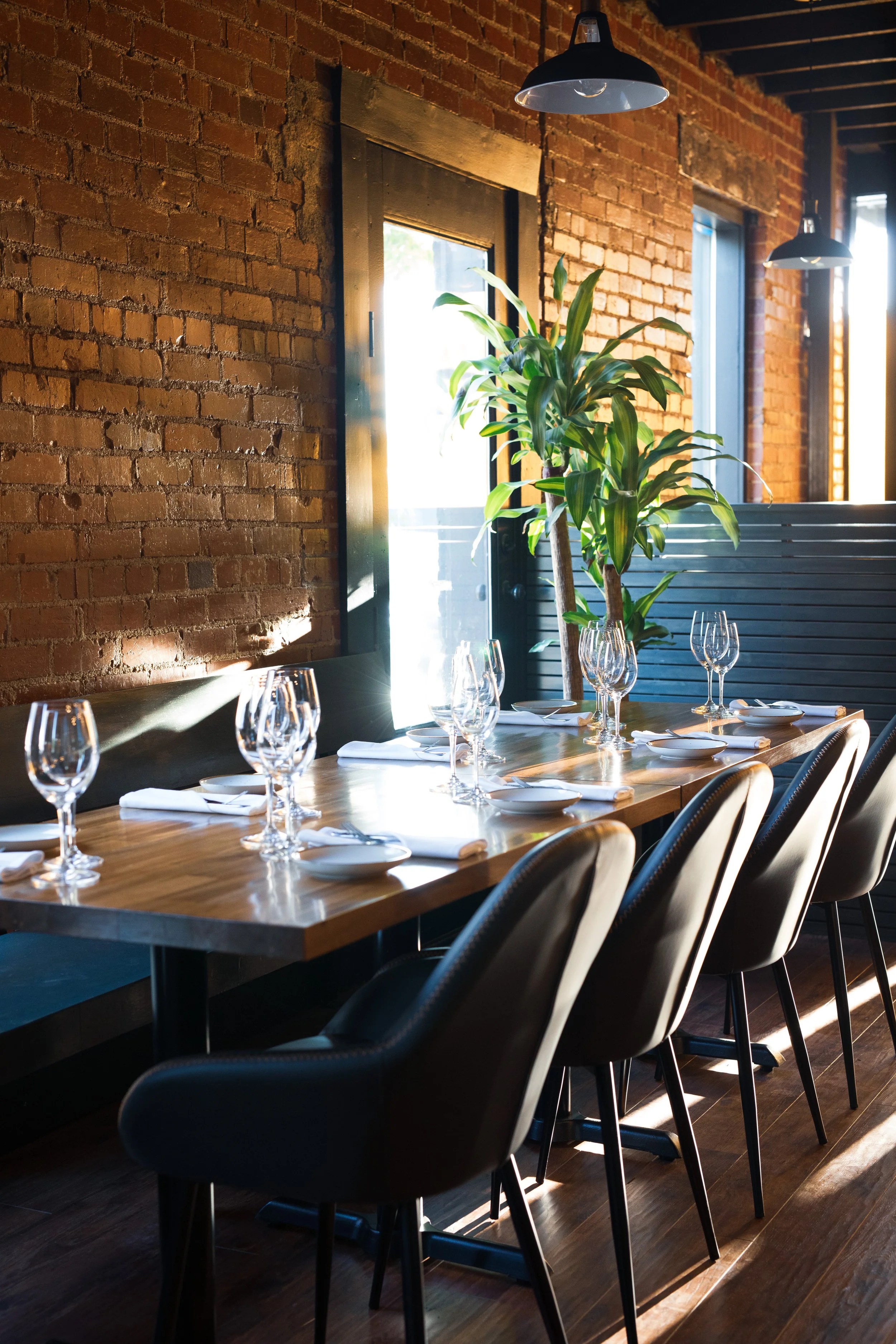 New Space 8.14.23-10.jpg