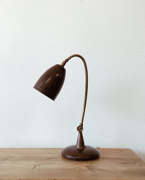 strubehoved Surichinmoi Temerity Brown and Brass Table Lamp — counter-space