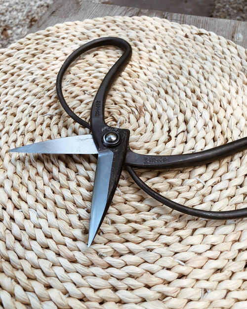 CANARY Japanese Garden Scissors Curved Blade 6.5, Made in JAPAN, Black