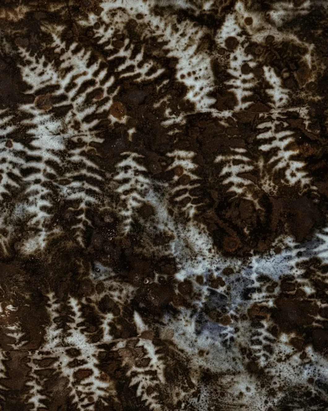 IMG_8793_VSCO (1).jpg