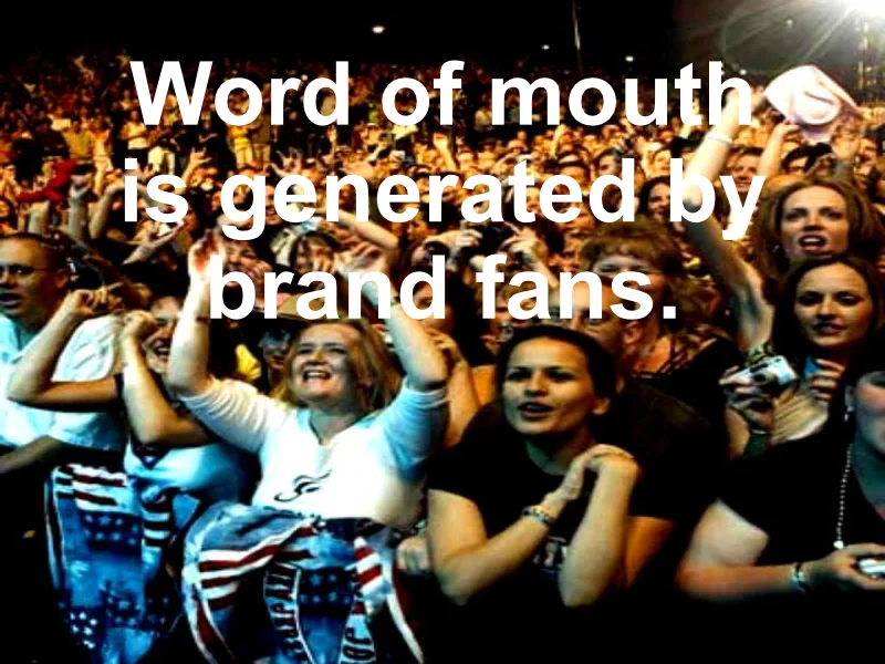 Brand_Fans_expt_.002.jpg