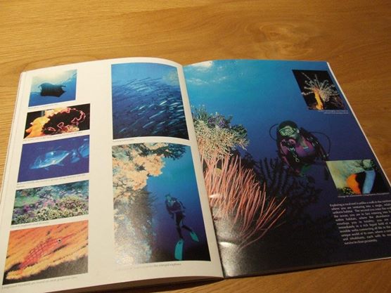 There's me on the right and left scuba diving and modeling for a travel brochure on Pohnpei, Micronesia! Crazy stuff I know... but this was just the beginning... I went on to Sri Lanka and South America!