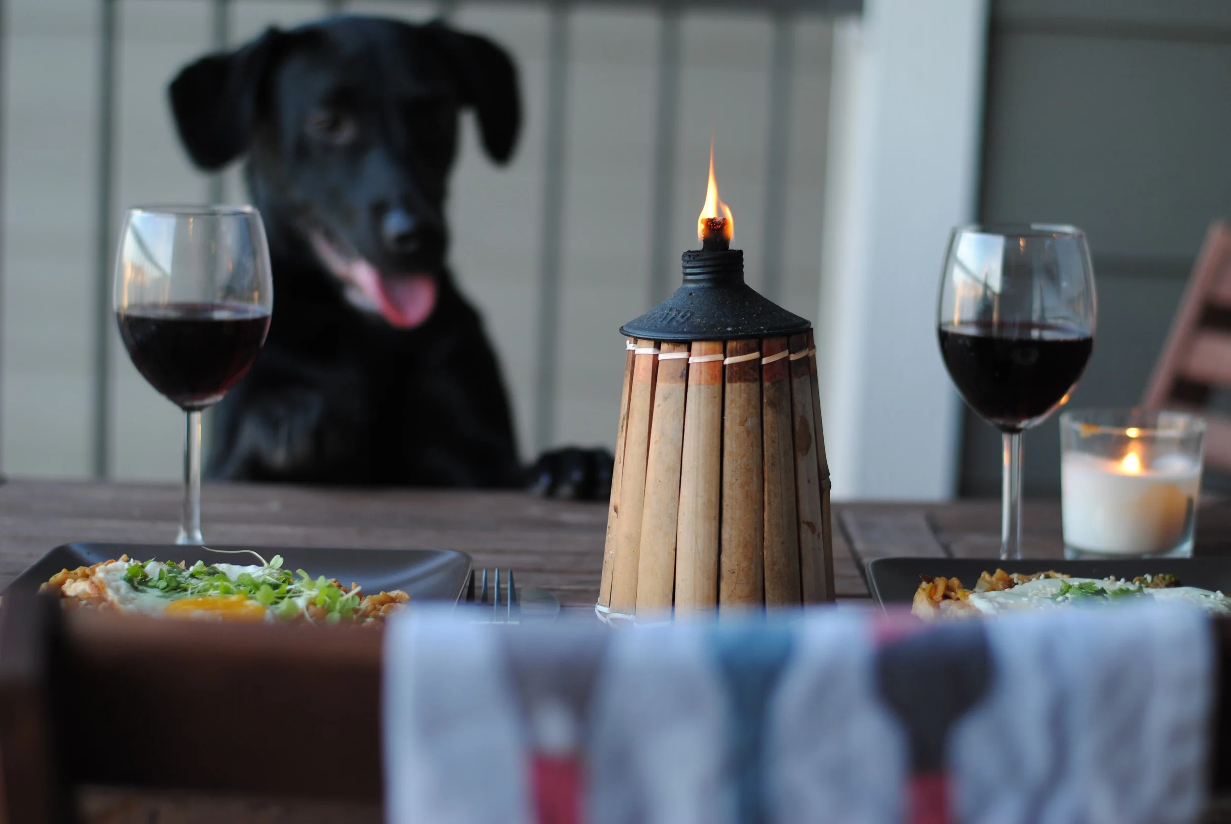 An Asian Dinner For ✌️