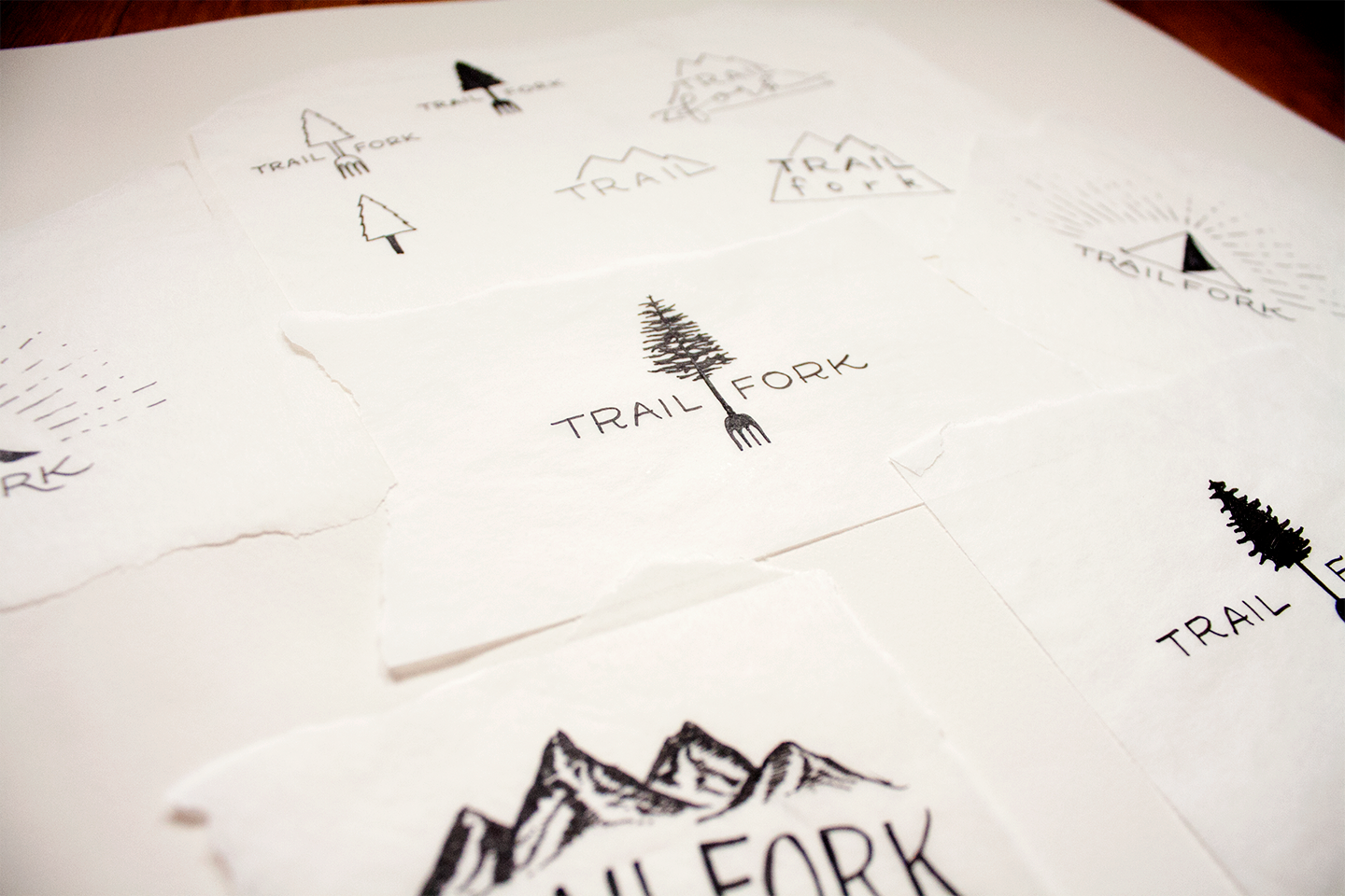 CHC-trailfork-logo-sketches.png