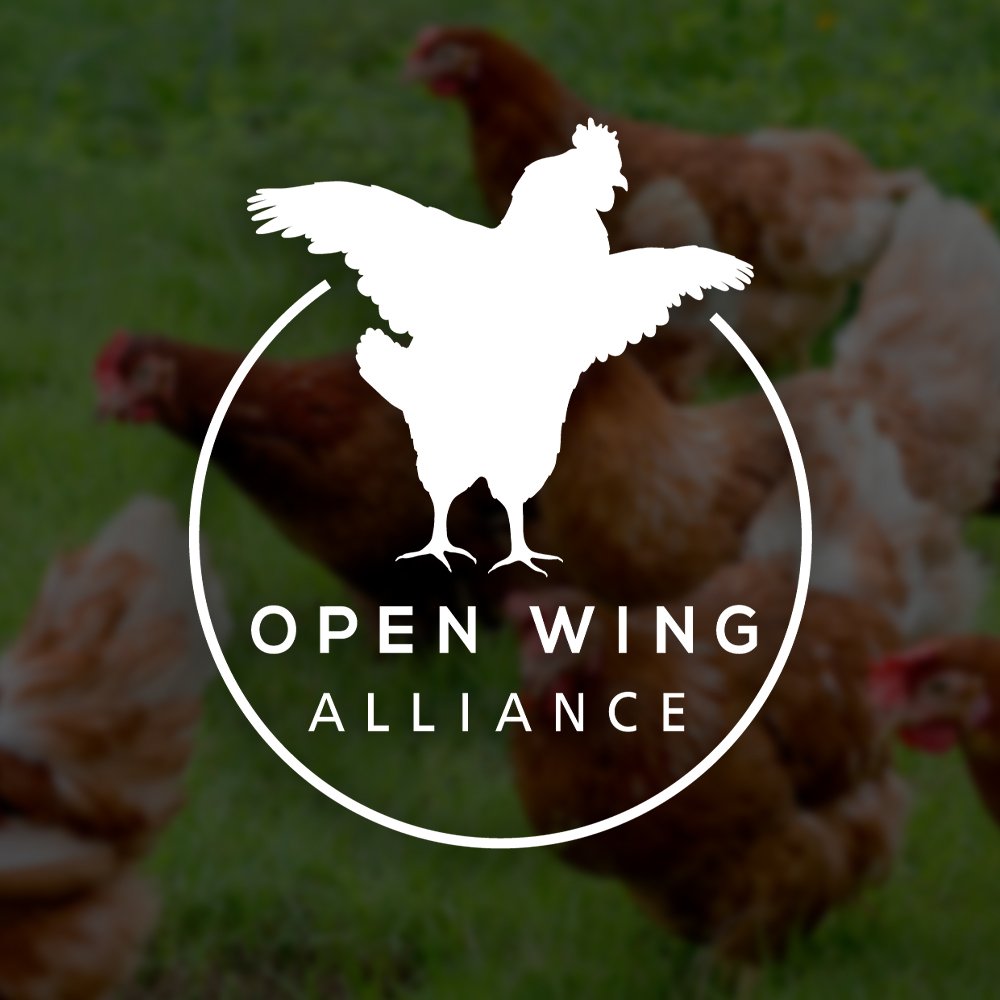 Open Wing Alliance Logo (Copy)