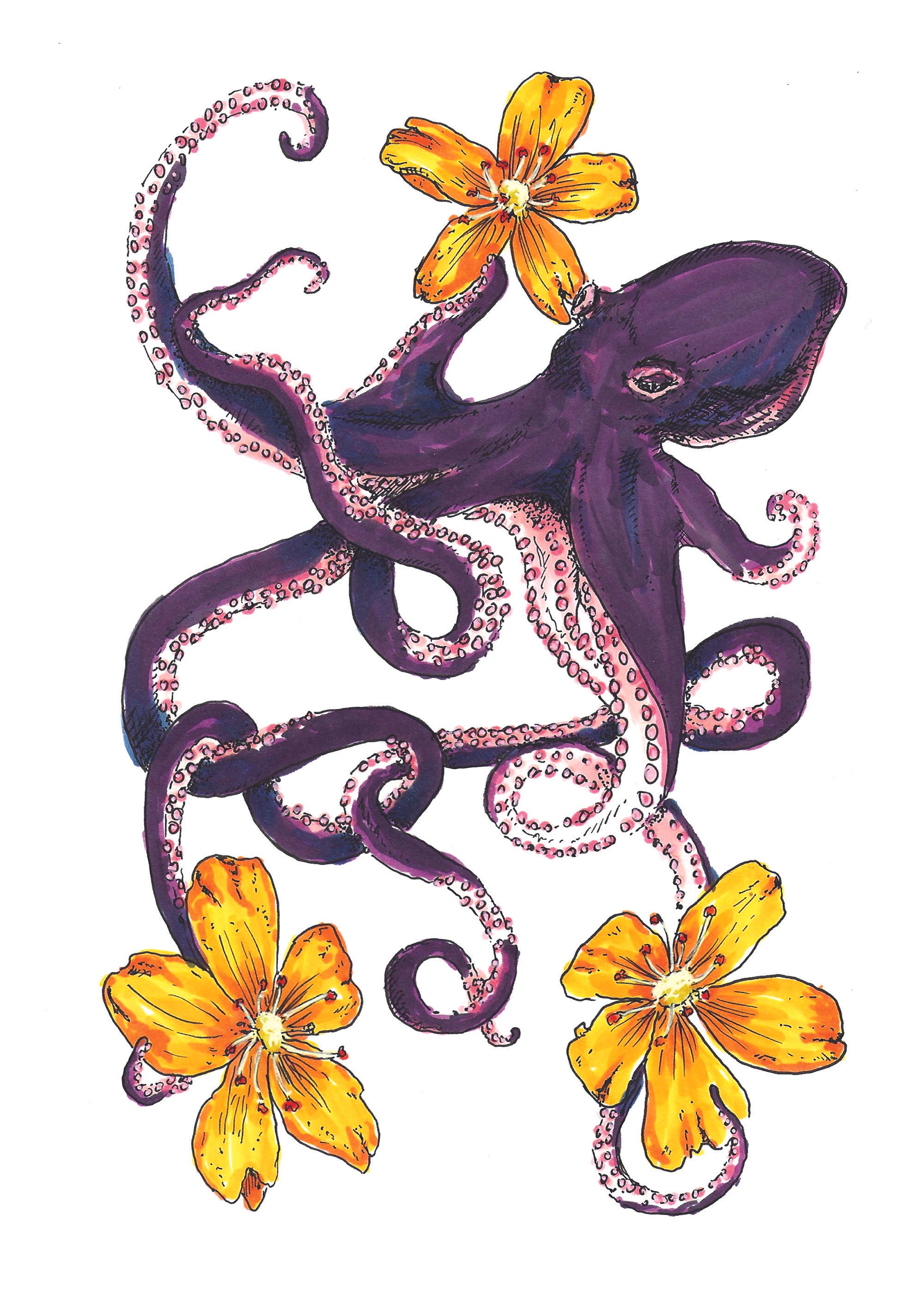 octopus+agrimony.jpg