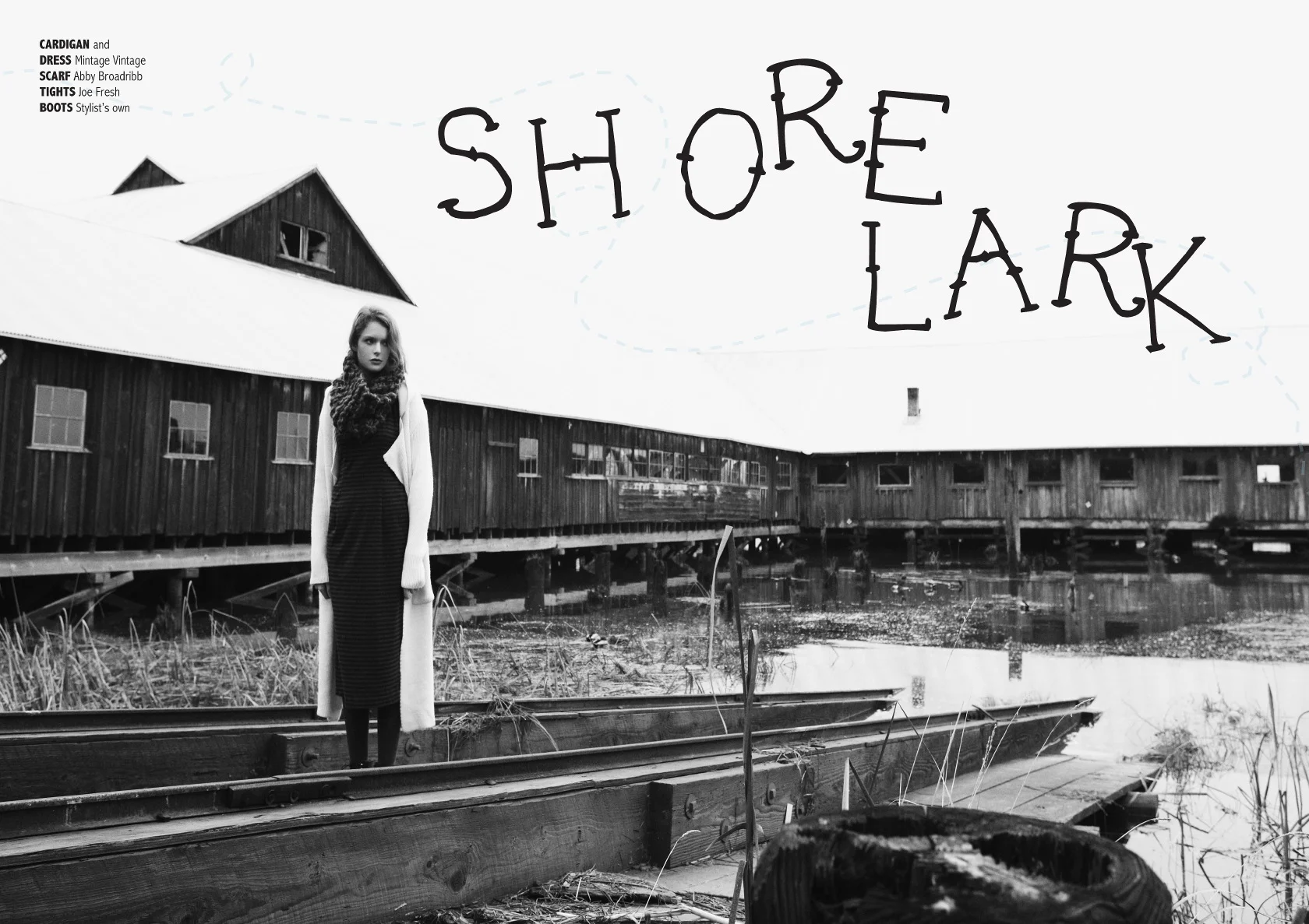 Benjamin Kwan Photography LARK 01.JPG