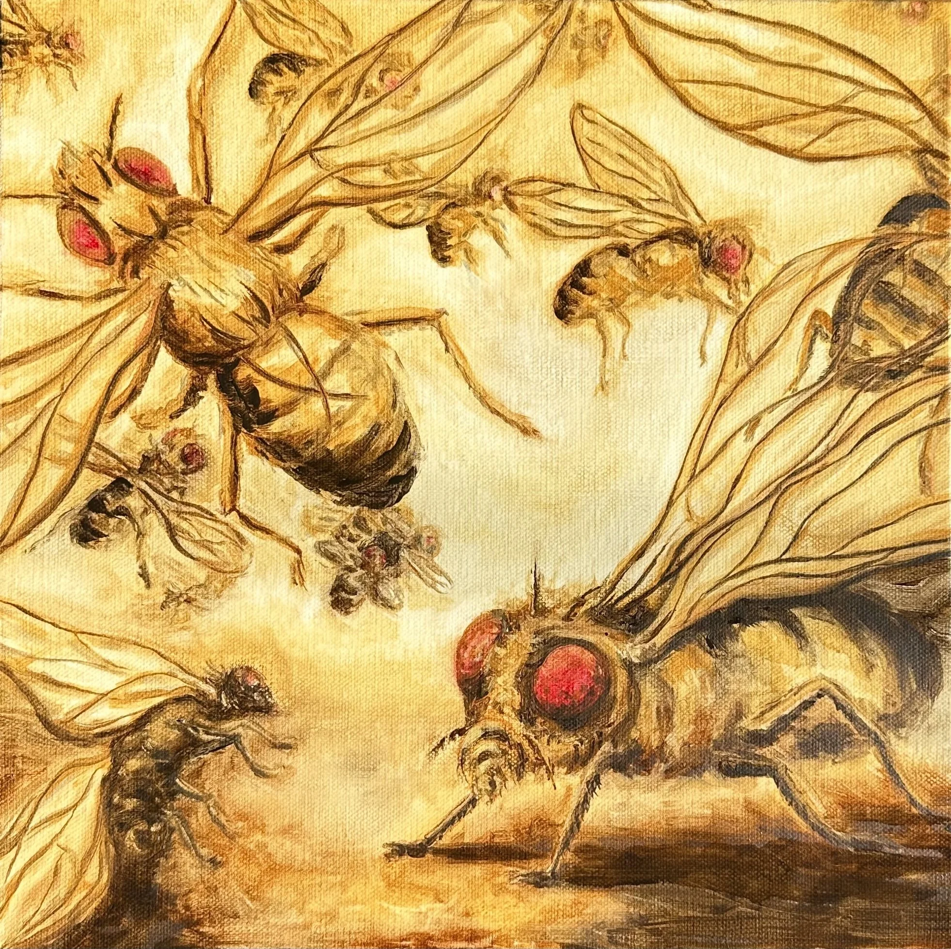 All That Won't Settle-Amelia Miller - Emmy Miller.jpg